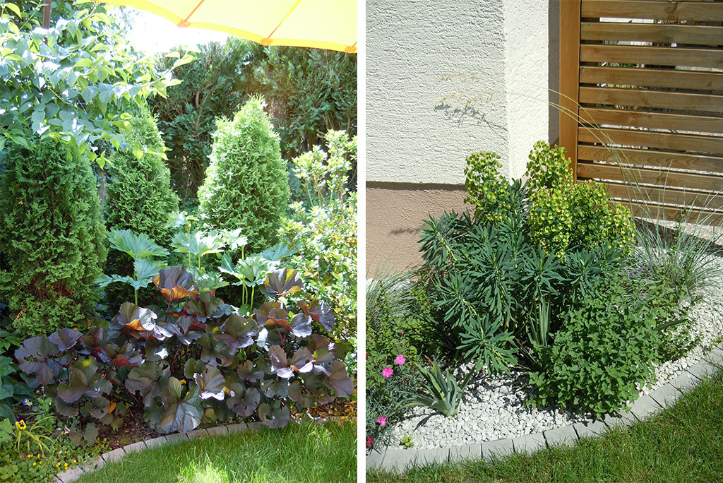 10-005-G-Schweitzer-2