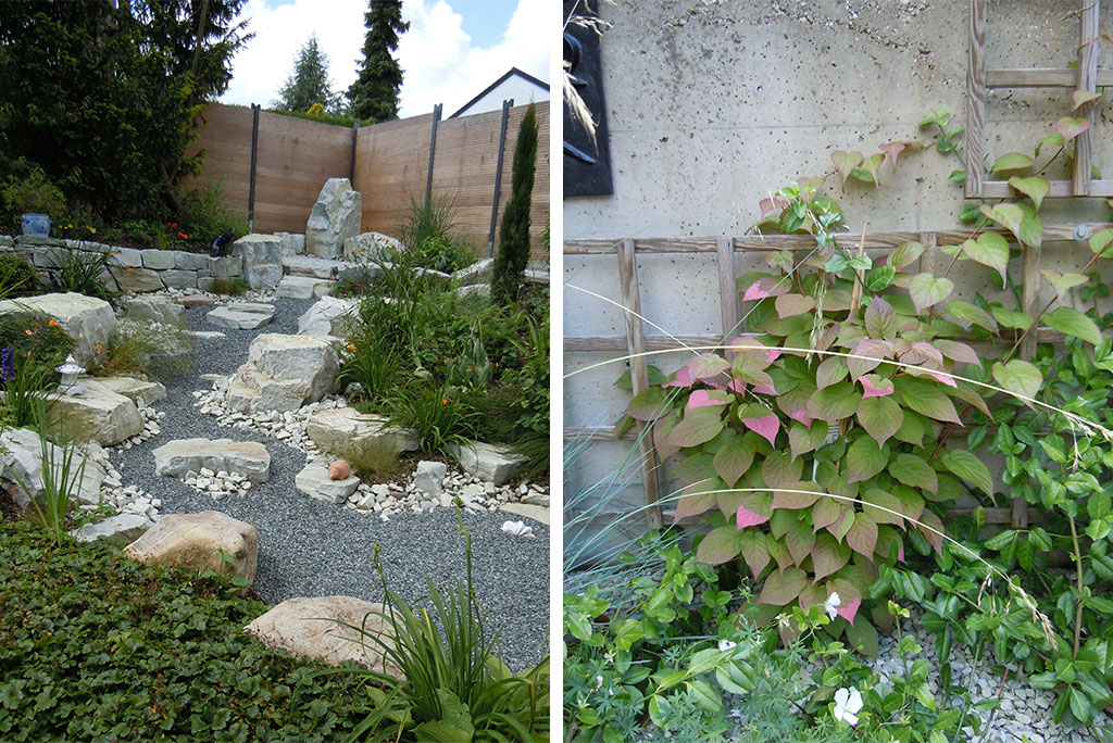 10-005-G-Schweitzer-3