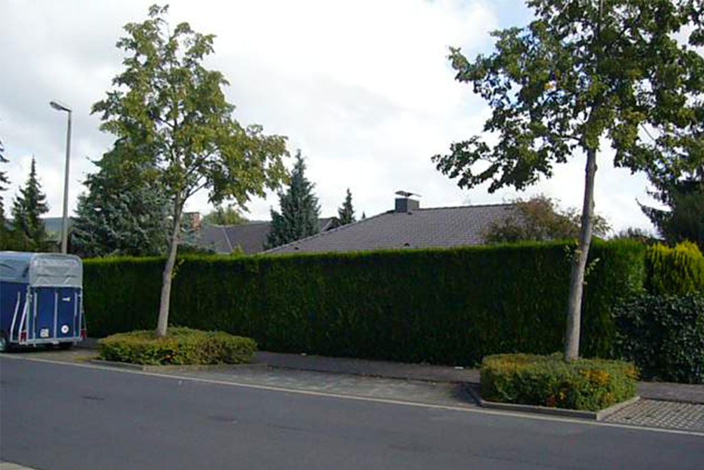 08-001-Aufstockung-Einfamilienhaus-Bad-Homburg-2