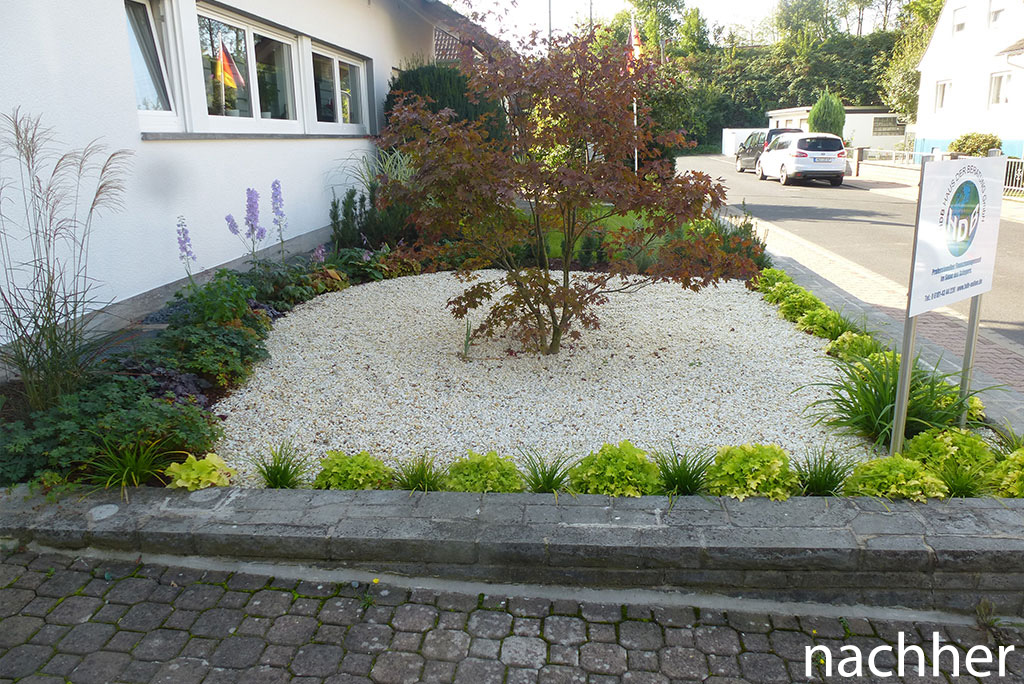 13-014-Vorgarten-Haus-der-Beratung--Bruchköbel-nachher-2